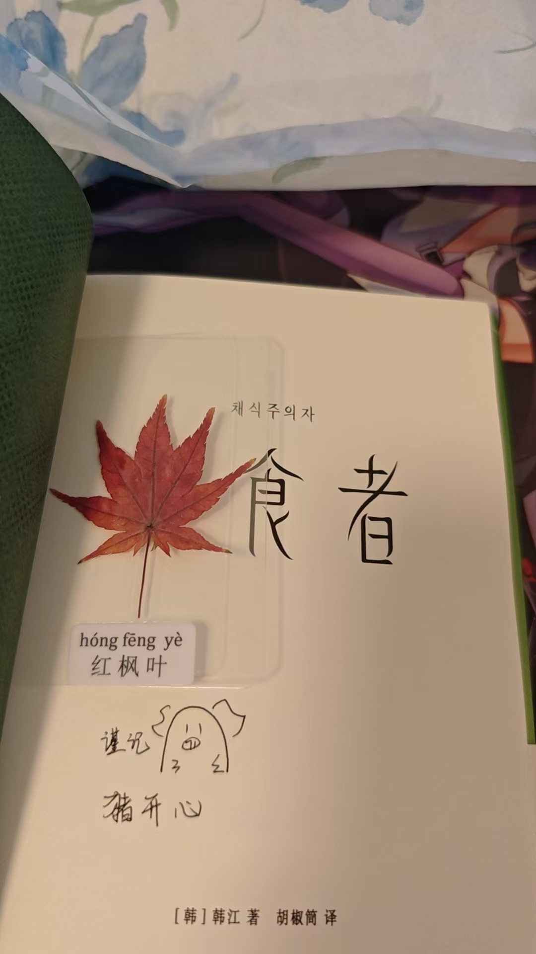 韩江《素食者》扉页和透明卡片中的红枫叶